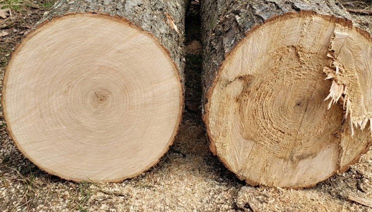 安価な互換刃と純正品の切断能力を徹底比較