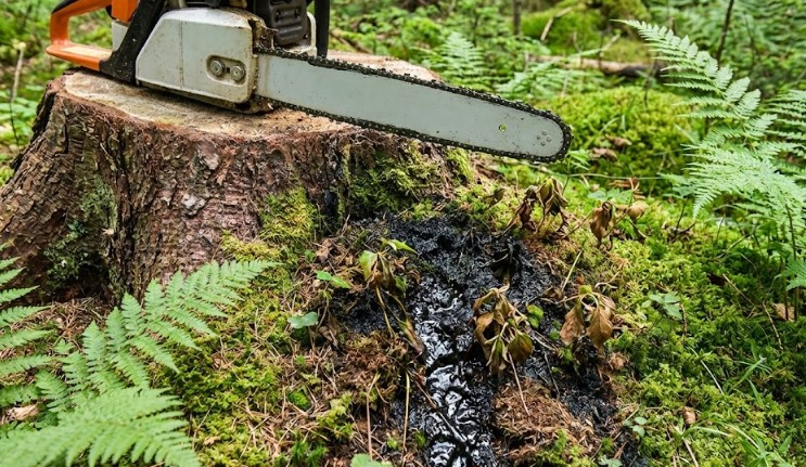 鉱物油による環境負荷と生分解性オイルの必要性