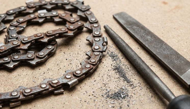 枝が全く切れない不満を解消するメンテナンス