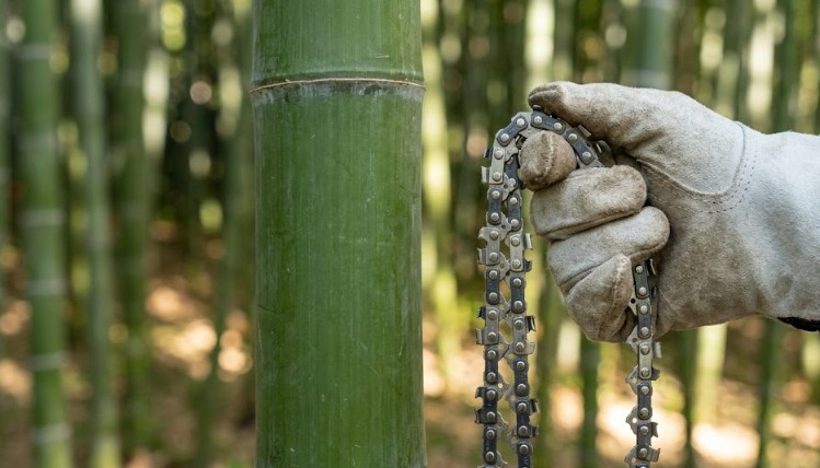 初心者におすすめの竹切り用ソーチェーン